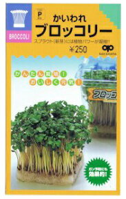 家庭菜園【種】 スプラウト かいわれブロッコリー 30ml 1袋 （郵便配送商品）