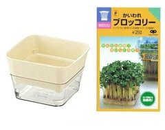 https://thumbnail.image.rakuten.co.jp/@0_mall/nature-ami/cabinet/item02/item2/imgrc0085969286.jpg