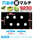 家庭菜園【マルチ】 穴あき黒マルチ9230 大根、とうもろこし用 1m （郵便配送商品） ※複数個お買い求めの場合、送料おまとめします！