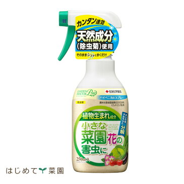 【殺虫剤】 害虫用殺虫剤 パイベニカVスプレー 250ml (宅配便配送商品)