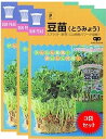 家庭菜園【種】 スプラウト 豆苗(とうみょう) 3袋セット (郵便配送商品)