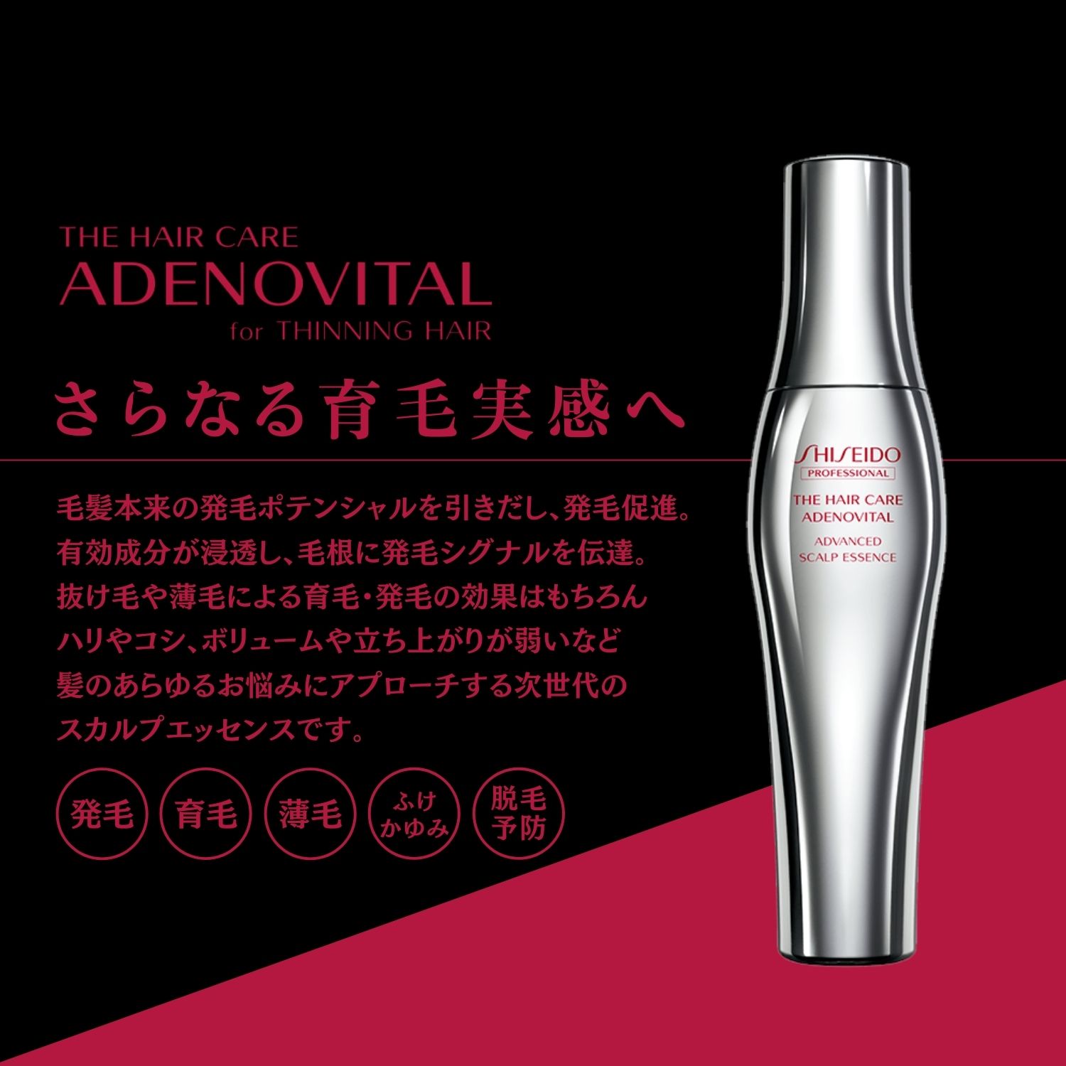 【名入れ加工対象商品】Morakniv Companion モーラナイフ ステンレススチールナイフ 5種類 フォールディングナイフ オレンジ ミリタリーグリーン ブラック アンスラシート ネイビーブルー キャンプ アウトドア 釣り かっこいい 携帯しやすい おすすめ 並行輸入品 送料無料!通販格安セール情報 楽天 通販