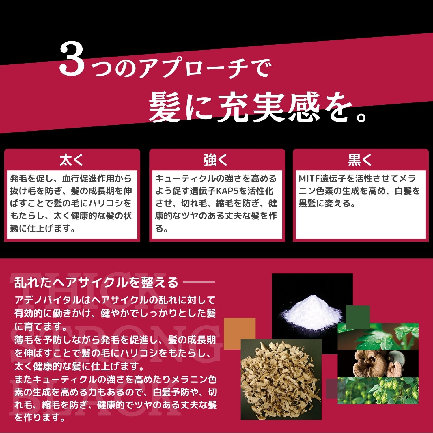 【名入れ加工対象商品】Morakniv Companion モーラナイフ ステンレススチールナイフ 5種類 フォールディングナイフ オレンジ ミリタリーグリーン ブラック アンスラシート ネイビーブルー キャンプ アウトドア 釣り かっこいい 携帯しやすい おすすめ 並行輸入品 送料無料!通販格安セール情報 楽天 通販