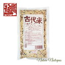 羽沢耕悦商店 / 古代米 八穀ブレンド【1000円ポッキリ】【お試し】