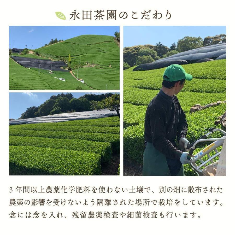 永田茶園 / 有機茶 三年番茶【有機JAS認定】 3