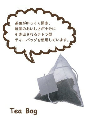 TOWA / ����Τᤰ�ߥǥ����� �ޤ�ä����� ����ƥ����Хå� ��4����ա����꤬�Ȥ����������ڥץ����եȡ�