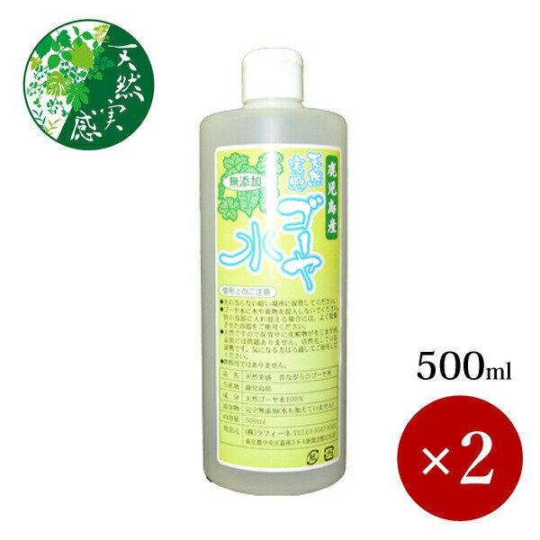 ラフィーネ / 天然実感 昔ながらのゴーヤ水 500ml×2ケ【箱入り】