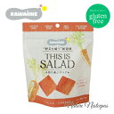 東京バル / KAWAIINE 持ち運ぶサラダ THIS IS SALAD にんじんチップス【グルテンフリー】