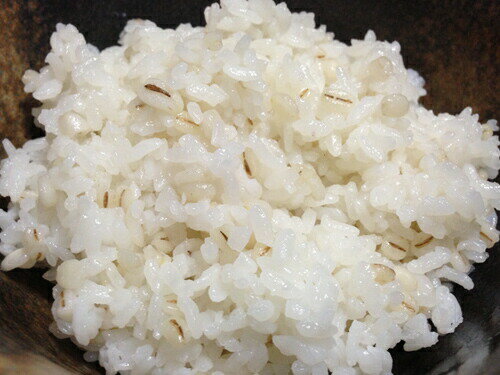 種商 毎日たっぷり 二十一穀 600g×6袋入｜ 送料無料 一般食品 雑穀 穀物