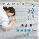 ラグ 洗える ひんやり 夏用 冷感 ラグマット 接触冷感 2畳 3畳 カーペット 滑り止め 正方形 防ダニ 抗菌 オアシス2