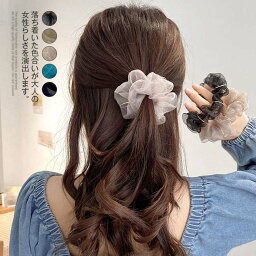 シュシュ ヘアアクセサリー ヘアアクセ 大人 ヘアアクセサリー ヘアゴム オーガンジー シースルー 光沢 大人っぽい まとめ髪 おしゃれ カジュアル トレンド 大人 可愛い プレゼント ギフト 韓国ファッション