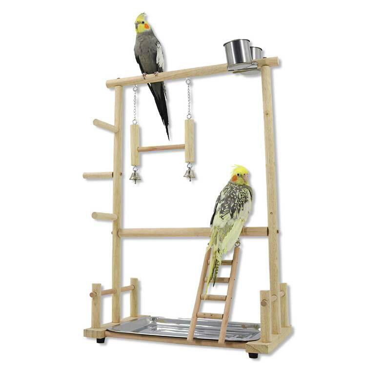 【SUPERSALE限定50%OFF!!】バードアスレチックL バードジム セキセイインコ オカメインコ 文鳥 小鳥 鳥 ケージ 放鳥 木 止まり木 ブランコ 梯子 おもちゃ 玩具 ルチノー いんこ リビング 組み立て式 多頭飼い送料無料