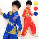 太極拳服 中華コスプレ衣装 太極拳演出服 気功カンフー衣装 チャイナ風子供武術服110-160cm 華流武術舞台演出服 男の子上下セット 子供ジュニア太極拳ウエア上下二点セット ダンス衣装 女の子