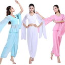 レッスン着 上下2点セット 舞台ステージ練習着 古典ダンス衣装 ヨガ 社交ダンス衣装 バレエダンス衣装 シフォンガウチョパンツ レディース ダンス衣装 スリット...