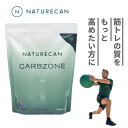 【特価30％OFF】CARBZONE 1kg 20食分 糖 国内製造 クラスターデキストリン 筋トレ Naturecan ネイチャーカン 健康 フィットネス 電解質 デキストリン