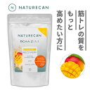 【特価最大40％OFF】Naturecan 公式 BCAA マンゴー味 30日分 90日分 必須アミノ酸 筋トレ ネイチャーカン 健康食品 サプリメント パウダー BCAA1000mg 国内 GMP認定工場製造 EAA スキンケア 女性