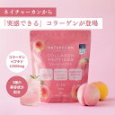 Naturecan 公式 コラーゲンペプチド ピーチ 味 450g 30日分 個包装 国内製造 コラーゲン ネイチャーカン サプリメント 健康食品 バイオアクテ...