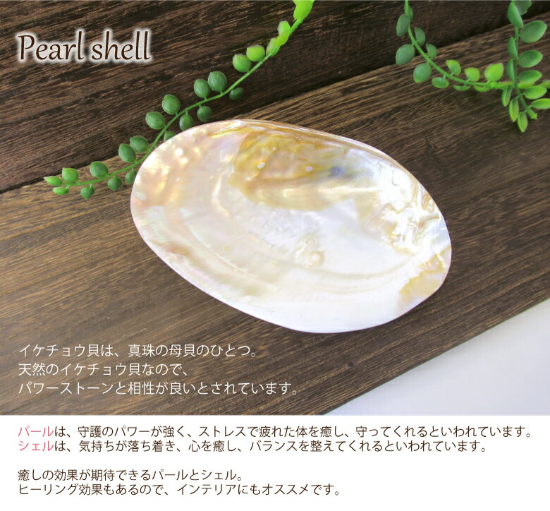 パワーストーン 浄化セット 選べる6種のさざれ パールシェル クリスタルチューナー 水晶 ポイント ヒーリング 癒し 音の浄化 クリスタルヒーリング 音叉 4点セット パワーストーンブレスレット ピアス の浄化用 浄化 厄年 厄払い バレンタイン ギフト チョコ以外 贈り物格安通販　バレンタイン　人気　ランキング