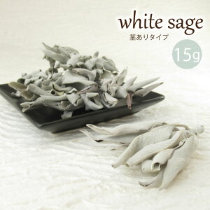 パワーストーン 浄化グッズ ホワイトセージ 15g 浄化用 浄化 パワーストーンブレスレット ピアス ネックレス の浄化用 浄化 厄年 玄関用 部屋用 プレゼント バレンタイン ギフト チョコ以外 贈り物 厄払い バレンタイン ギフト チョコ以外