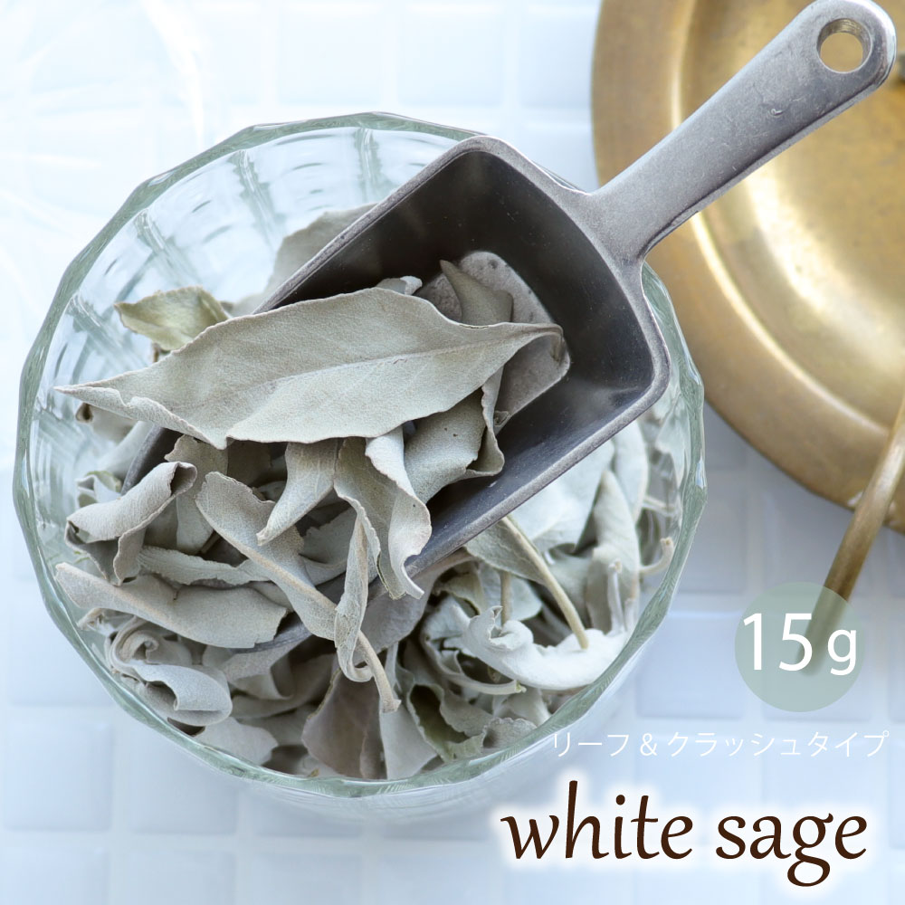 ホワイトセージ 浄化用 リーフ クラッシュ リーフのみ 15g 枝なし 浄化 パワーストーンブレスレット ピアス ネックレス の浄化用 カリフォルニア産 ナチュ...