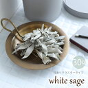 【クーポンで7%OFF】ホワイトセージ 浄化用 枝あり 30g バリューパック パワーストーンブレスレット ピアス ネックレス の浄化用 カリフォルニア産 ナチ...