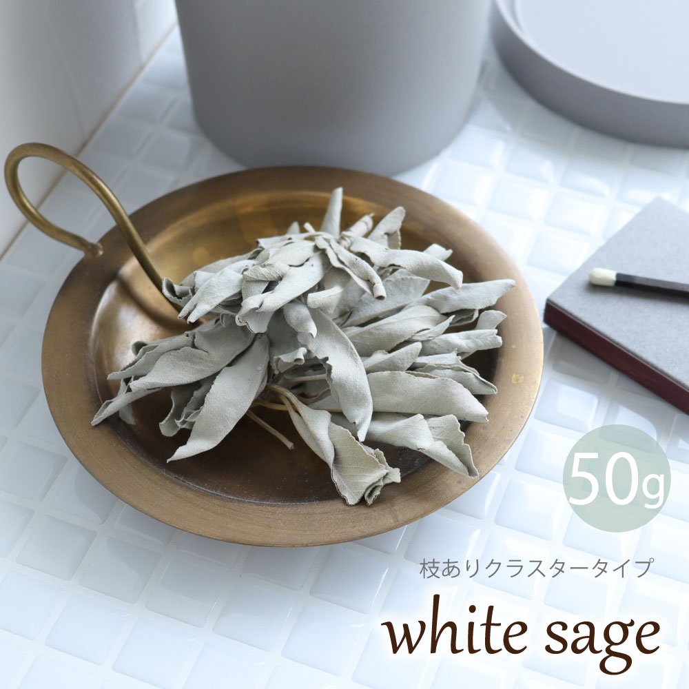 【18～19日P10倍】ホワイトセージ 浄化用 枝あり 50g バリューパック パワーストーンブレスレット ピアス ネックレス の浄化用 カリフォルニア産 ナチュラル 浄化 厄年 玄関用 部屋用 厄払い パワーストーン 浄化 グッズ 記念日 ギフト 父の日 新生活