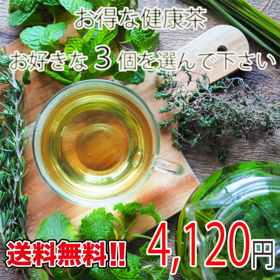【選べる3個セット】お買得 送料無料 ボタニカル スーパーフード 健康サポート 血糖値を気にする方 活力をサポート 体の健康を意識する方 すっきりとした毎日 健康的なライフスタイル ファイトケミカル 健康 美容 お茶 ティーバッグ ノンカフェイン 無添加 お誕生日