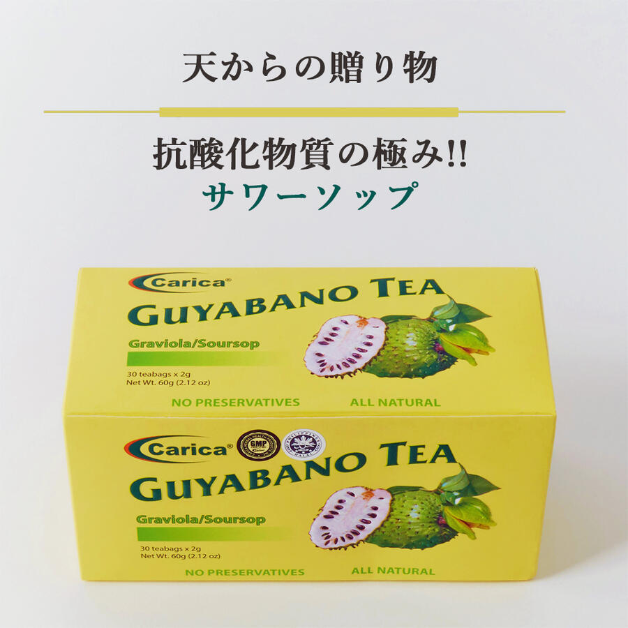 賞味期限2026年1月22日 数量限定 【サワーソップ茶 30包】 フィリピン産 グヤバノ ノンカフェイン 健康茶 免疫サポート 自然派健康ティー 自然の味わい 自然派ハーブティー
