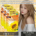 ディアボーテ オイルイン コンディショナー リッチ&リペア 詰替用 (400g) ×3個セット 本体 【クラシエ】 髪ゆがみケアテクノロジーでうねり・くせ・パサ...