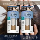 【シエロ】ワンデー白髪かくし ナチュラルブラック 9ml 2個セット ホーユー hoyu CIELO ヘアケア 白髪染め 白髪かくし