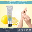 【選べる個数】【瀬戸内レモン】 ハンドクリーム 75g │ デイリーアロマジャパン デイリーアロマ ギフト プレゼント 日本製 瀬戸内 レモン 国産柑橘 保湿 乾燥対策 ハンドケア 天然由来 精油配合 美白 美肌 天然成分 まとめ買い