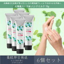 【北海道ハッカ油】 ハンドミルク 75g 6個セット │ デイリーアロマジャパン デイリーアロマ ギフト プレゼント 日本製 北海道 ハッカ ミント 冷感 清涼...