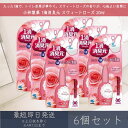 小林製薬 1滴消臭元 スウィートローズ 20ml 6個セット | 【消臭元】 携帯用 ミニボトル 消臭芳香剤 消臭 芳香 トイレ用 トイレグッズ