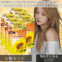 ディアボーテ オイルイン コンディショナー リッチ&リペア 詰替用 (400g) ×6個セット 本体 【クラシエ】 髪ゆがみケアテクノロジーでうねり・くせ・パサ...