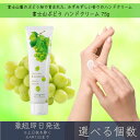 【選べる個数】【富士山ぶどう】 ハンドクリーム 75g │ デイリーアロマジャパン デイリーアロマ ギフト プレゼント 日本製 富士山 ぶどう 葡萄 保湿 乾燥対策 ハンドケア 手荒れ対策 マスカット アルガンオイル シアバター ツボクサエキス 富士山ワイナリー 甲州