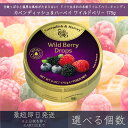 【選べる個数】【カベンディッシュ&ハーベイ】 ワイルドベリー 175g | Wild Berry Drops べリー お菓子 おやつ あめ 飴 キャンディ キャ...