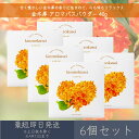 【金木犀】 アロマバスパウダー 40g 6個セット │ デイリーアロマジャパン デイリーアロマ ギフト プレゼント 日本製 金木犀 キンモクセイ 保湿 バスグッズ バスソルト 入浴剤 キンモクセイ精油 ツバキオイル ハチミツ ロイヤルゼリー アルガンオイル パパイン 角質ケア