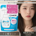 シャボン玉石けん 純せっけん洗顔 泡タイプ 詰め替え 180ml ×12個セット │ 洗浄成分100%純せっけん オリーブオイル 天然の保湿成分 スキンケア 無香料 無着色 洗顔フォーム 純せっけん