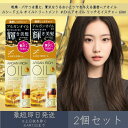 マンダム 【ルシードエル】 オイルトリートメント #EXヘアオイル リッチモイスチャー 60ml 2個セット | mandam LUCIDE-L ヘアオイル ヘアトリートメント ヘアケア 濃密しっとり 軽やかにまとまる 保湿 ツヤ髪 洗い流さないトリートメント アウトバストリートメント