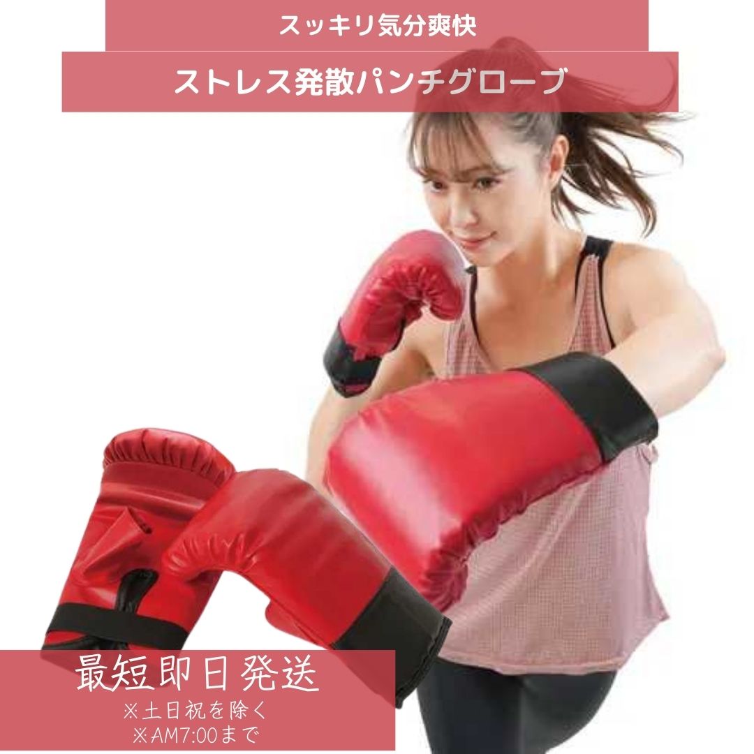 ストレス発散 パンチグローブ │ ストレス発散 エクササイズ ボディシェイプ 事務 フィットネス パンチ キック ストレッチ ボクシング 有酸素運動 ストレス ...