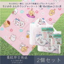 ちいかわ ふんわりレジャーシート 1畳 90x180cm 2-3人用 2個セット │ アサヒ興洋 ナガノ 厚手 大判 レジャー アウトドア 遠足 ピクニック キ...