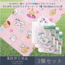 ちいかわ ふんわりレジャーシート 1畳 90x180cm 2-3人用 3個セット │ アサヒ興洋 ナガノ 厚手 大判 レジャー アウトドア 遠足 ピクニック キ...