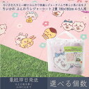 ちいかわ ふんわりレジャーシート 2畳 180x180cm 4-5人用 │ アサヒ興洋 ナガノ 厚手 大判 レジャー アウトドア 遠足 ピクニック キャンプ お...