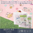 ちいかわ ふんわりレジャーシート 2畳 180x180cm 4-5人用 2個セット │ アサヒ興洋 ナガノ 厚手 大判 レジャー アウトドア 遠足 ピクニック キャンプ お花見 運動会 海 キャラクター お弁当 ランチ 子ども 子供 キッズ ピクニックシート レジャーマット 敷物 手提げバッグ付