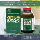 【ユウキ製薬】 クロレラロイヤルDX 約1000粒 12個セット | サプリ サプリメント 栄養補助食品 クロレラ 国産クロレラ使用 細胞壁破砕 健康 美容 内側ケア 無添加 国内製造 送料無料 スーパーフード CGF chlorella 藻