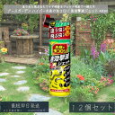 【アースガーデン】ハイパーお庭の虫コロリ 速効撃滅ジェット 480ml ×12個セット │ 虫コロリ ハイパー 速効 ジェット スプレー 這う虫 飛ぶ虫 ナメクジ ムカデ カメムシ 【アース製薬】