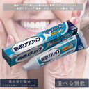 新ポリグリップ 極細ノズル メントール配合 (70g) │ ポリグリップ 入れ歯 安定剤 極細 メントール クリーム 部分 総入れ歯 口臭ケア ずれ 防止 口臭 快適 70g デンタル オーラル 義歯