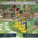 【アースガーデン】ハイパーお庭の虫コロリ 速効撃滅ジェット 480ml ×3個セット │ 虫コロリ ハイパー 速効 ジェット スプレー 這う虫 飛ぶ虫 ナメクジ ムカデ カメムシ 【アース製薬】