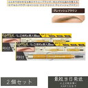 excel エクセル パウダー&ペンシル アイブロウ EX PD05 グレイッシュブラウン ×2個セット │アイブロウマスカラ 自然な眉毛 仕上がり 描きやすい アイブロウ ふんわり眉メイク 眉メイク