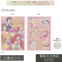 ディズニー プリンセス スタンド付リバーシブルまな板 S6シリーズ ×2個セット │ 子供用まな板 抗菌仕様 日本製 お手伝い用 アウトドア 滑り止め付き 親子クッキンググッズ
